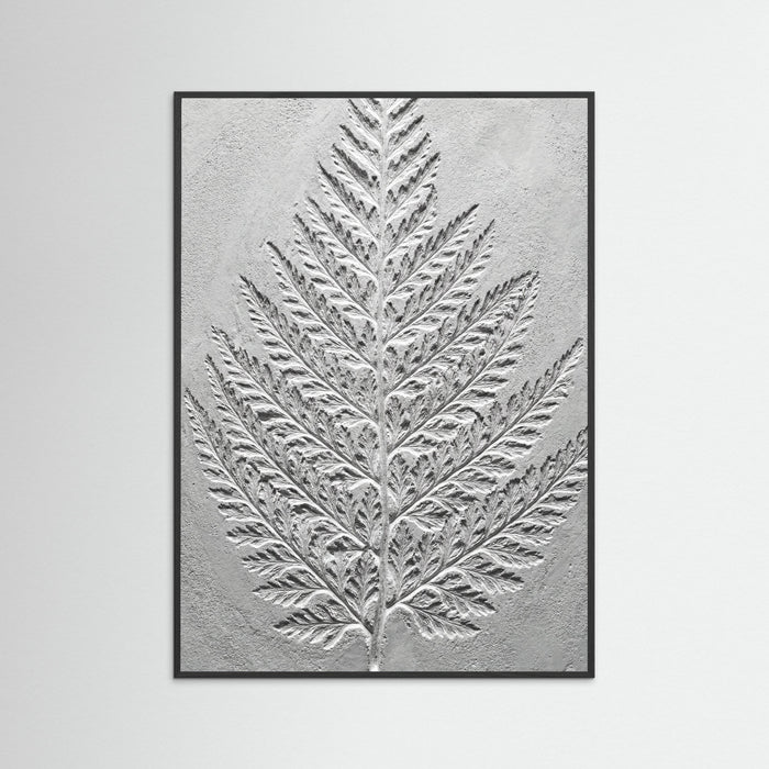 Black Wood Nautilus Relief
