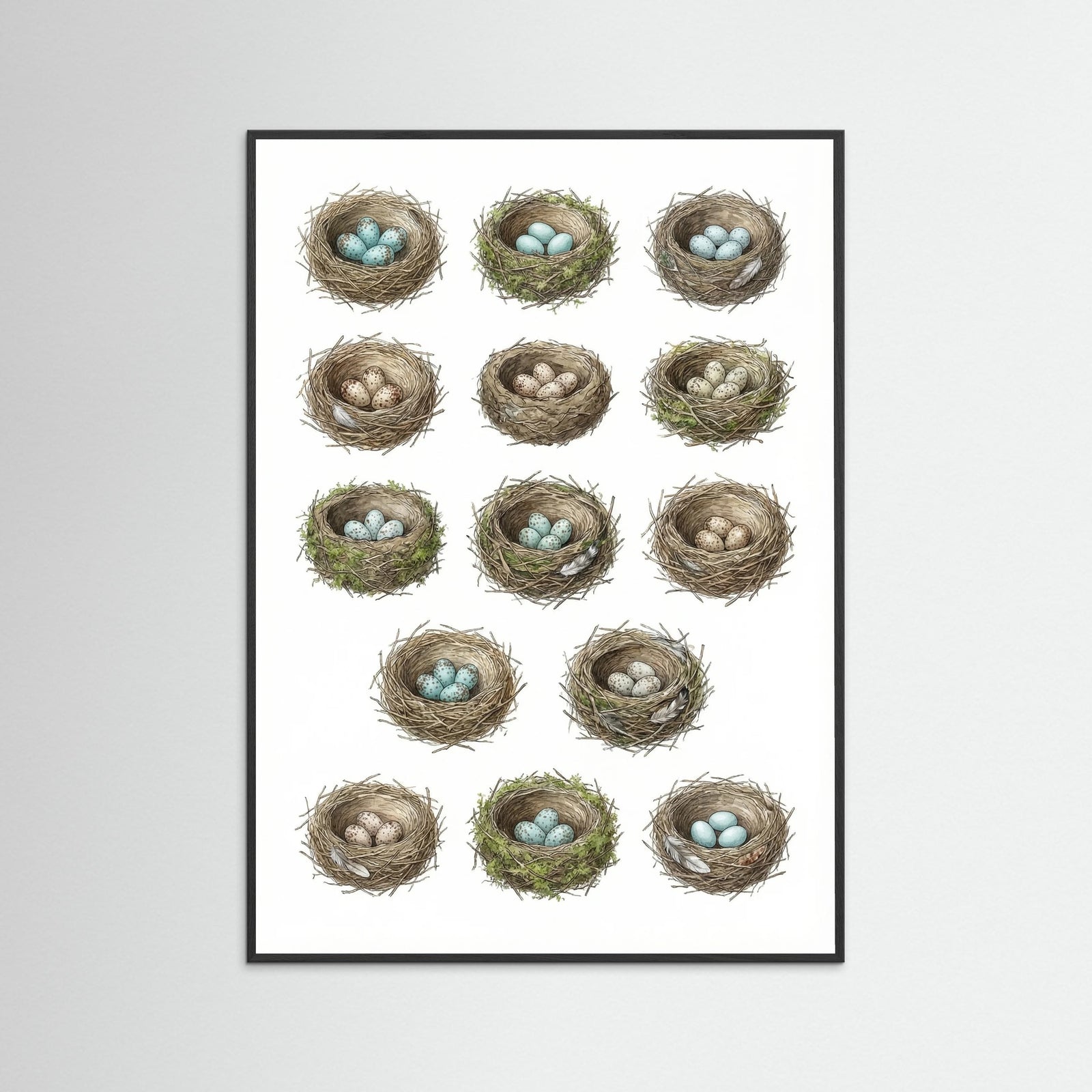 Black Wood Nordic Avian Studies