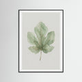 Black Wood Olive Branch Study