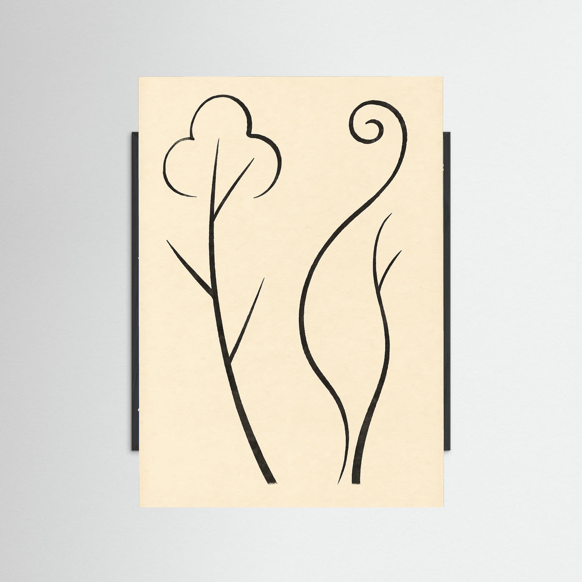 Black Wood Organic Curves