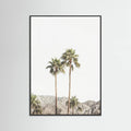Póster Palm Springs Palms – póster e impresión artística