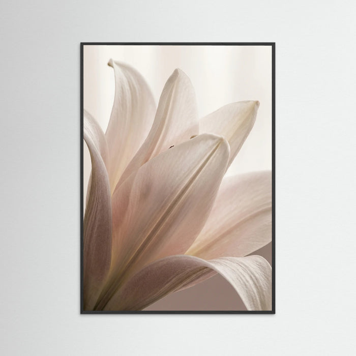 Black Wood Petal Whisper