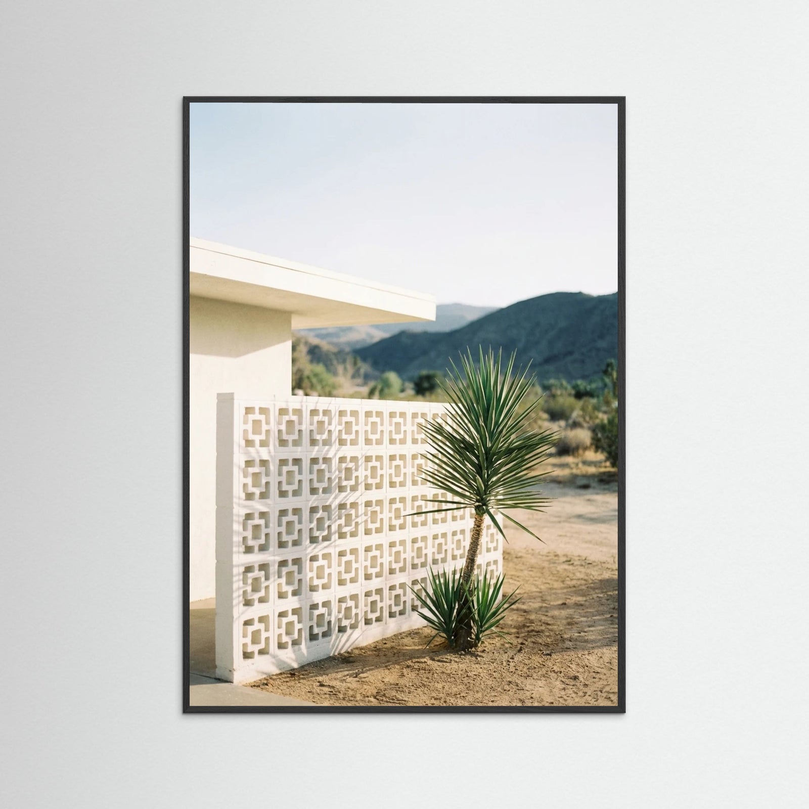 Black Wood Poolside Palms