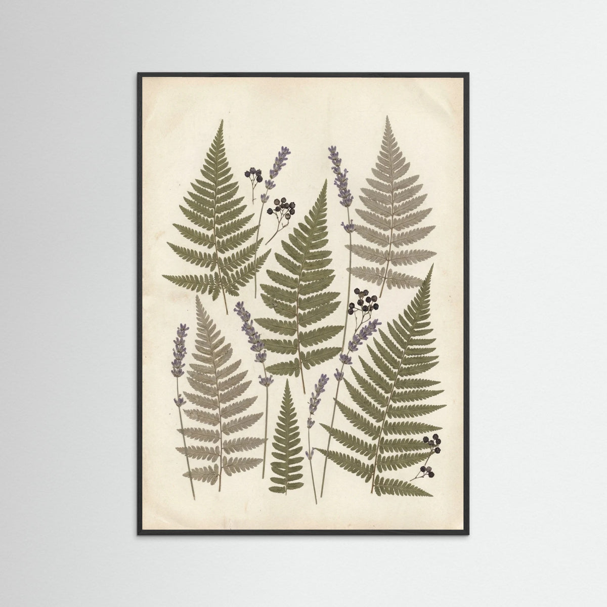 Black Wood Pressed Botanicals