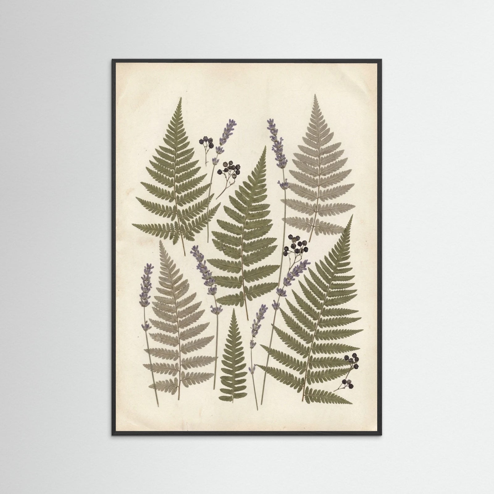 Black Wood Pressed Botanicals