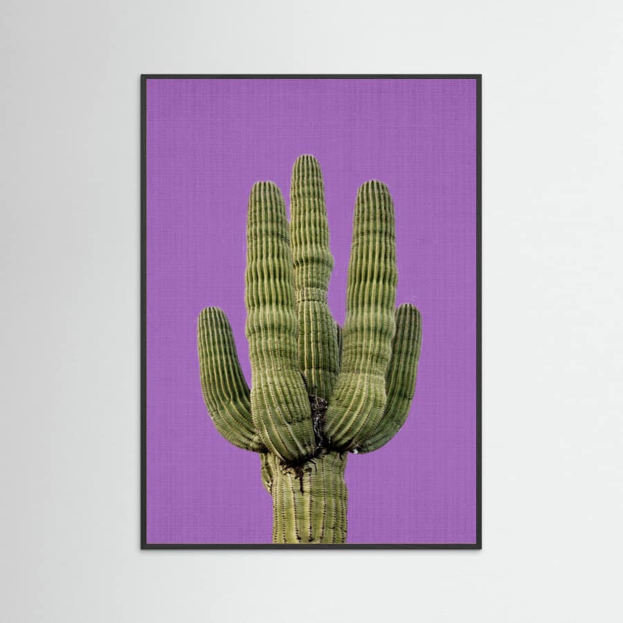 Black Wood Purple Cactus Poster
