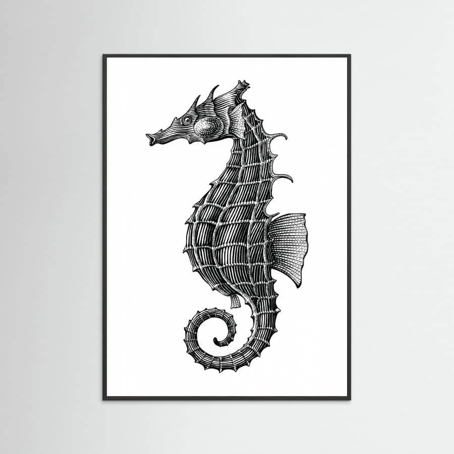 Affiche Seahorse – affiche et impression d’art