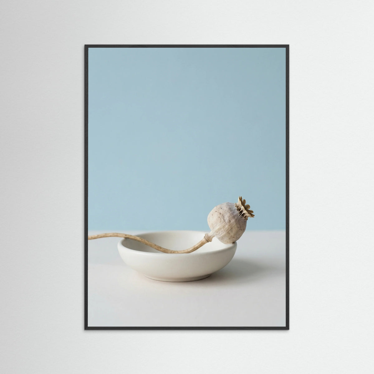 Black Wood Serene Foliage