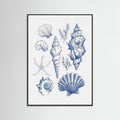 Plakat Shell Collage – plakat i druk artystyczny