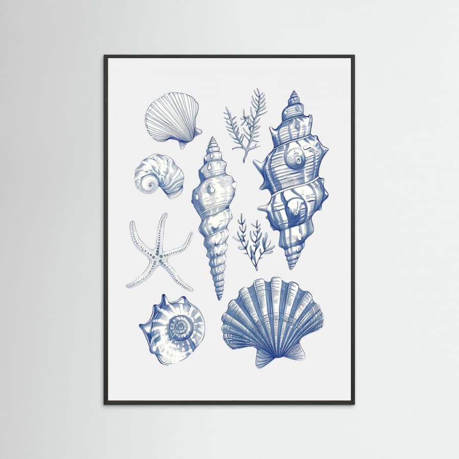 Plakat Shell Collage – plakat i druk artystyczny