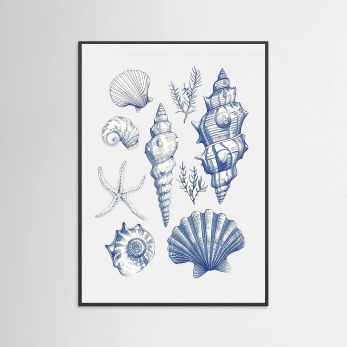Plakat Shell Collage – plakat i druk artystyczny