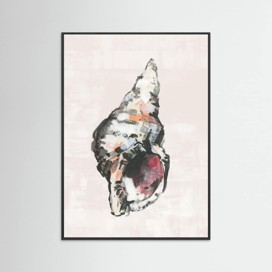 Plakat Shell Collector Art Print No 2 – plakat i druk artystyczny