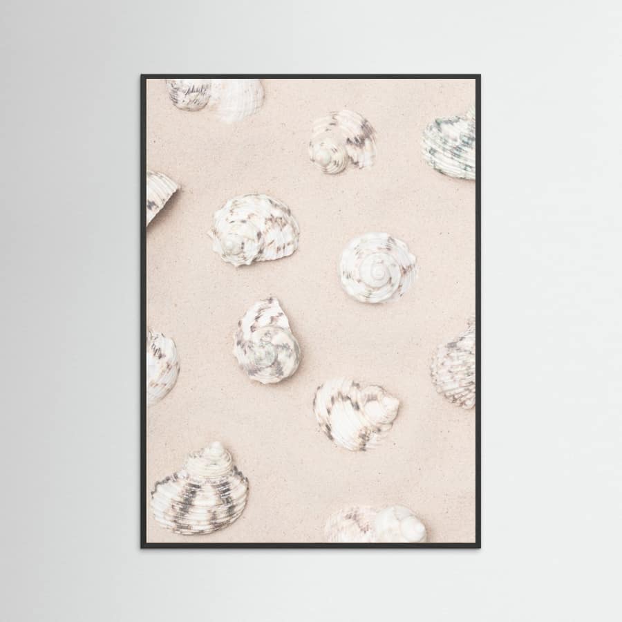 Shells_2 Poster – Poster und Kunstdruck
