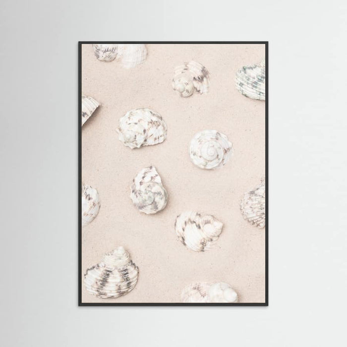 Shells_2 Poster – Poster und Kunstdruck