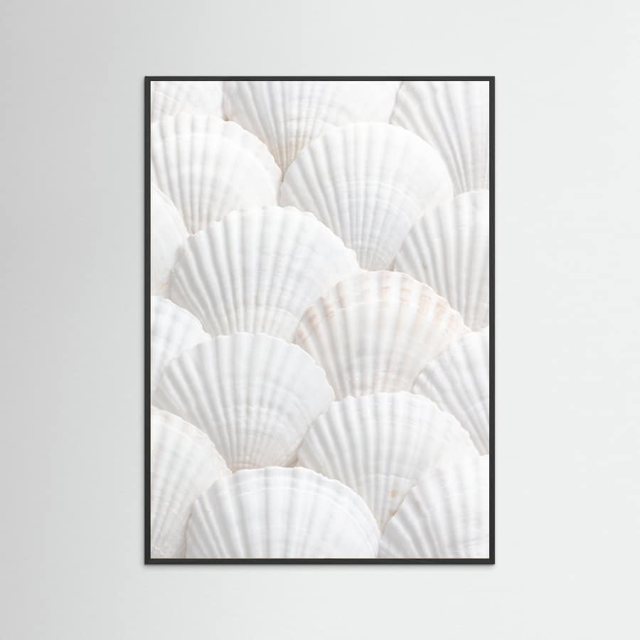 Shells_3 Poster – plakat og kunsttryk