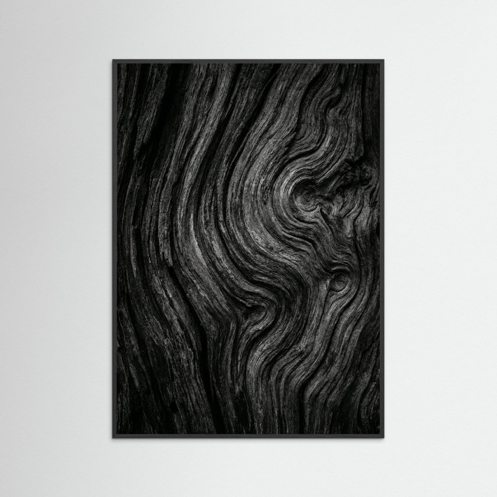 Black Wood Silent Leaves