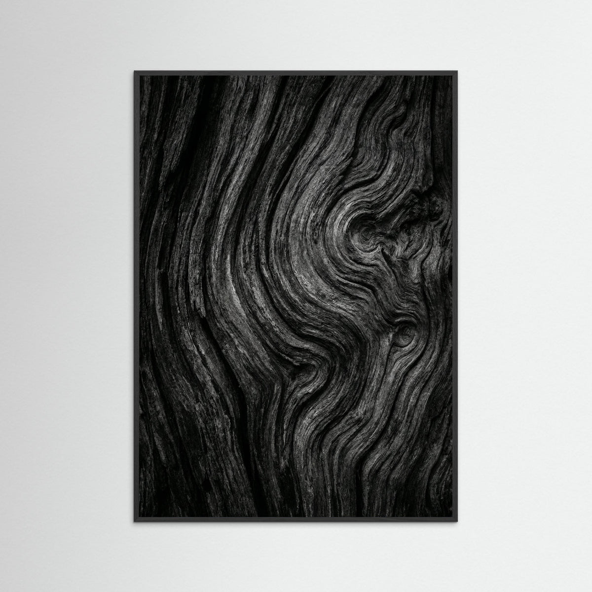 Black Wood Silent Leaves