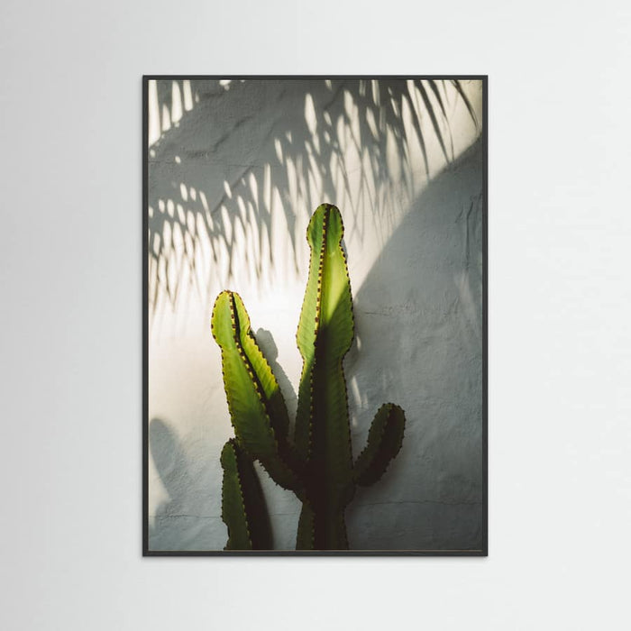 Black Wood Socal Shadows Poster