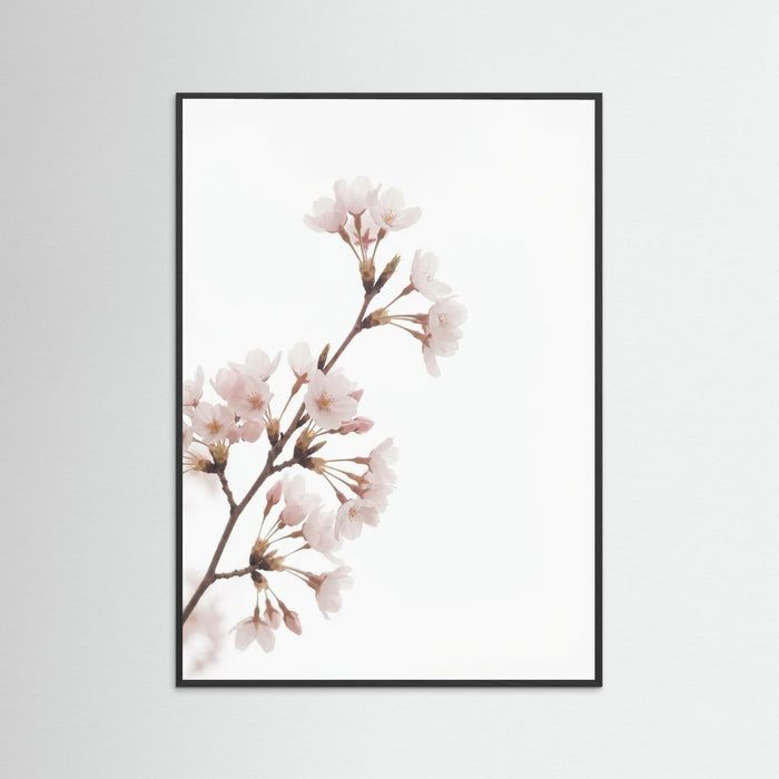 Black Wood Soft Bloom Study