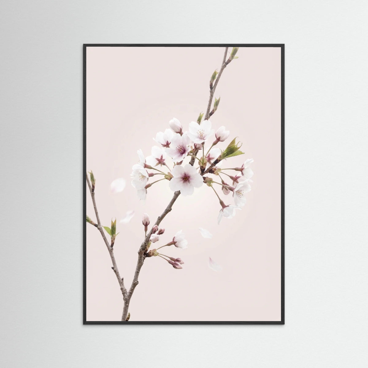 Black Wood Soft Bloom
