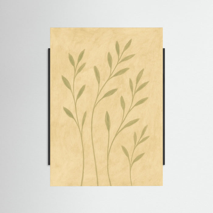 Black Wood Soft Field