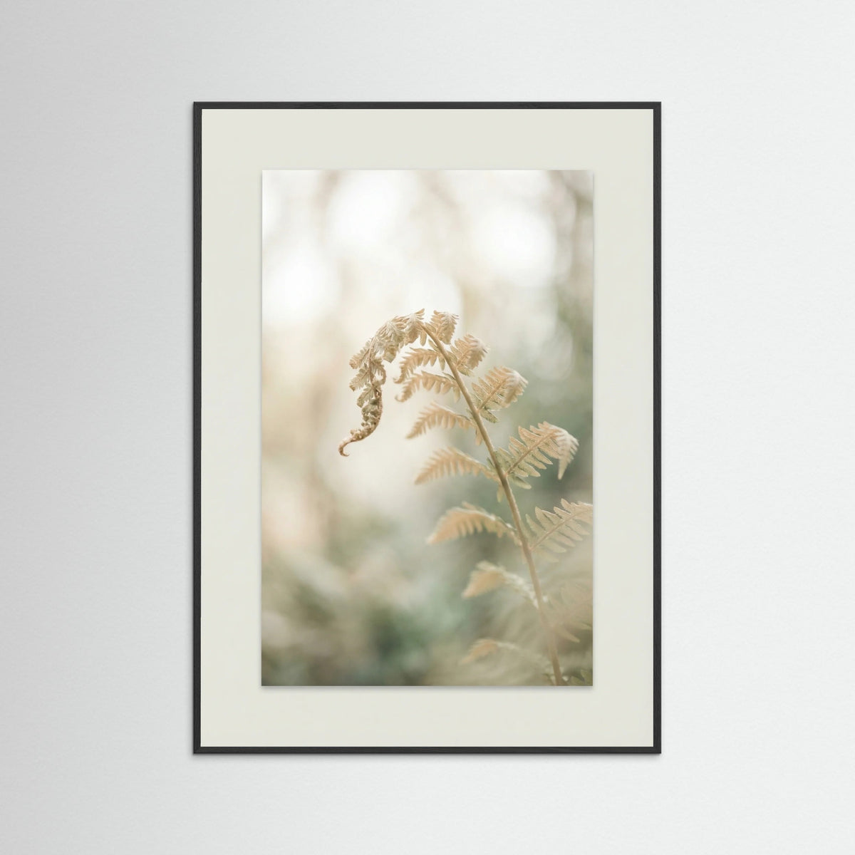 Black Wood Soft Petals Whispers