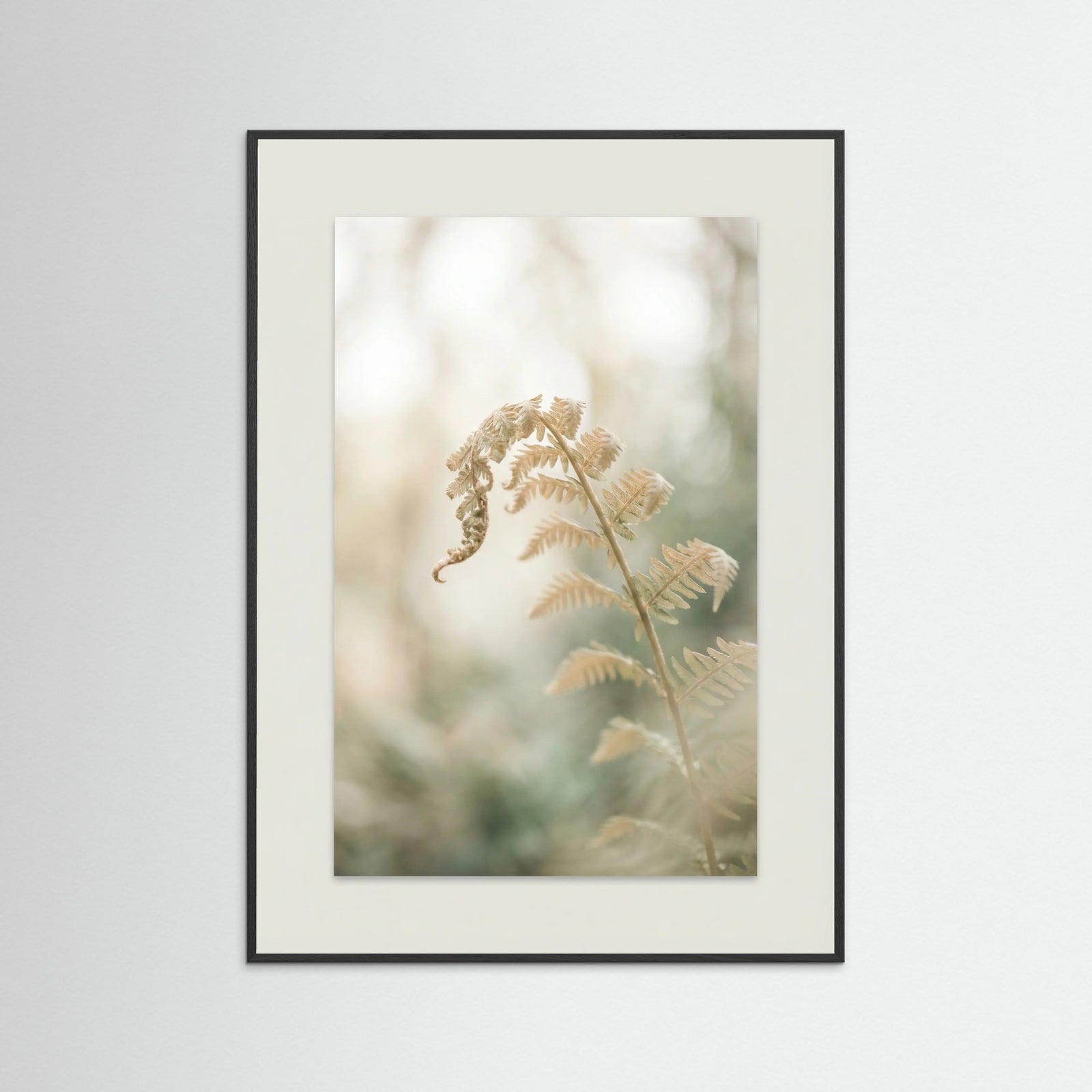 Black Wood Soft Petals Whispers