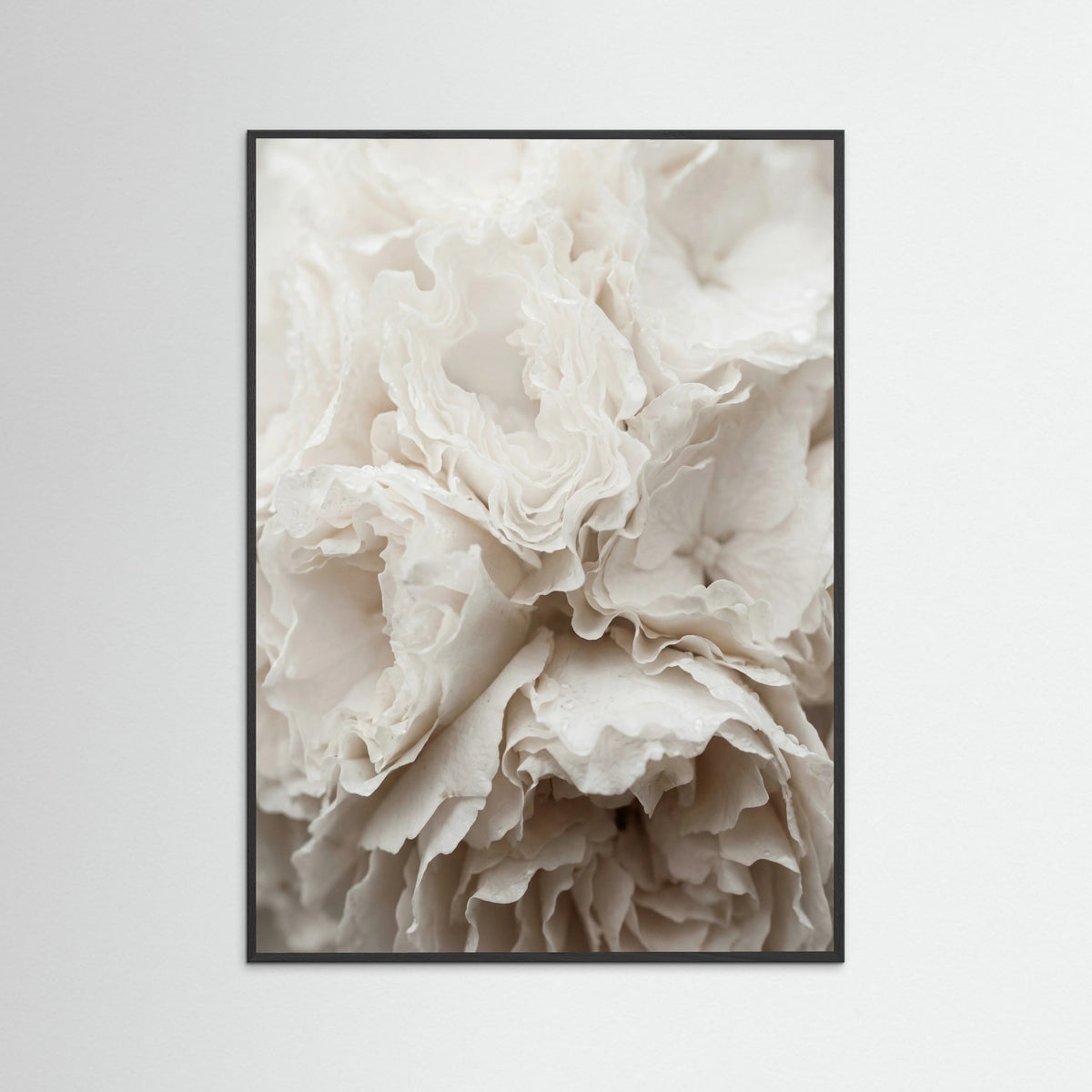 Black Wood Soft Petals White