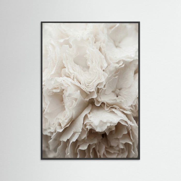 Black Wood Soft Petals White
