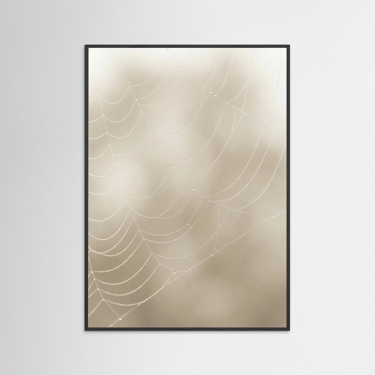 Black Wood Soft Plume