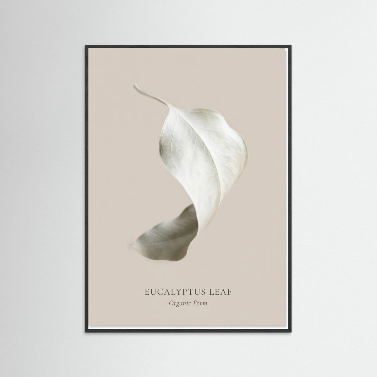 Black Wood Soft Radiance