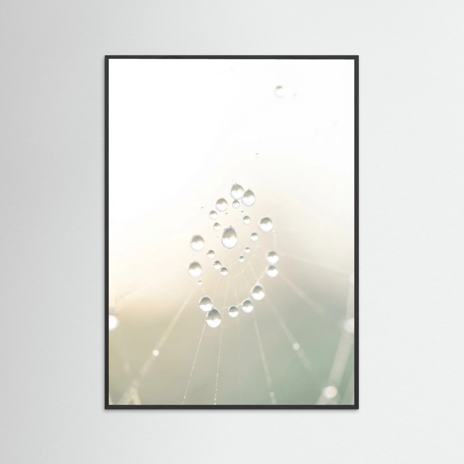 Black Wood Soft Whisper