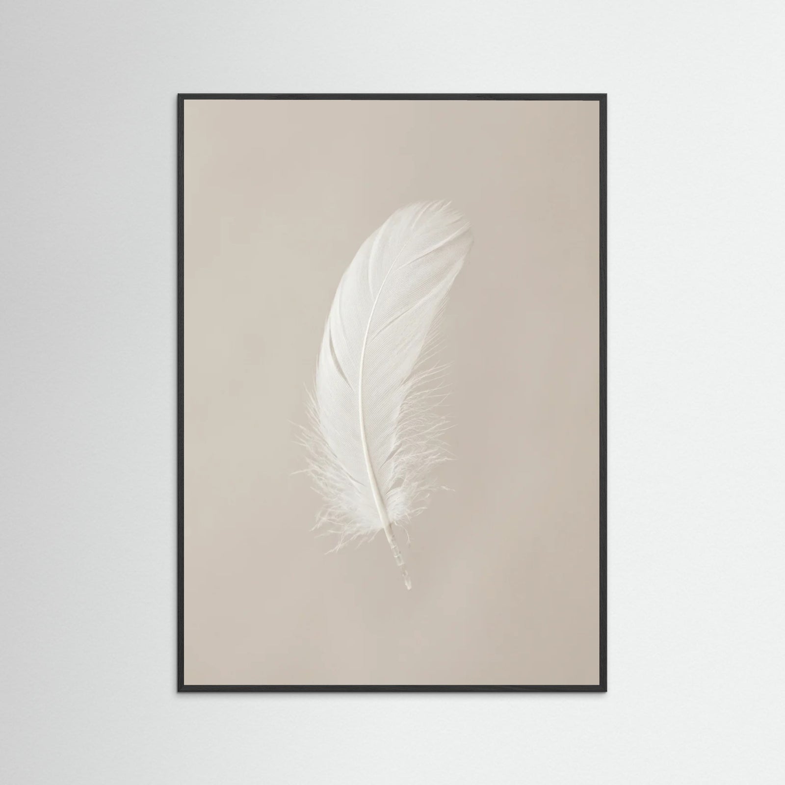 Black Wood Spring Softness