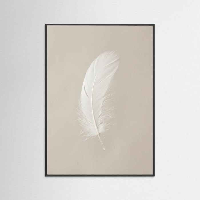Black Wood Spring Softness