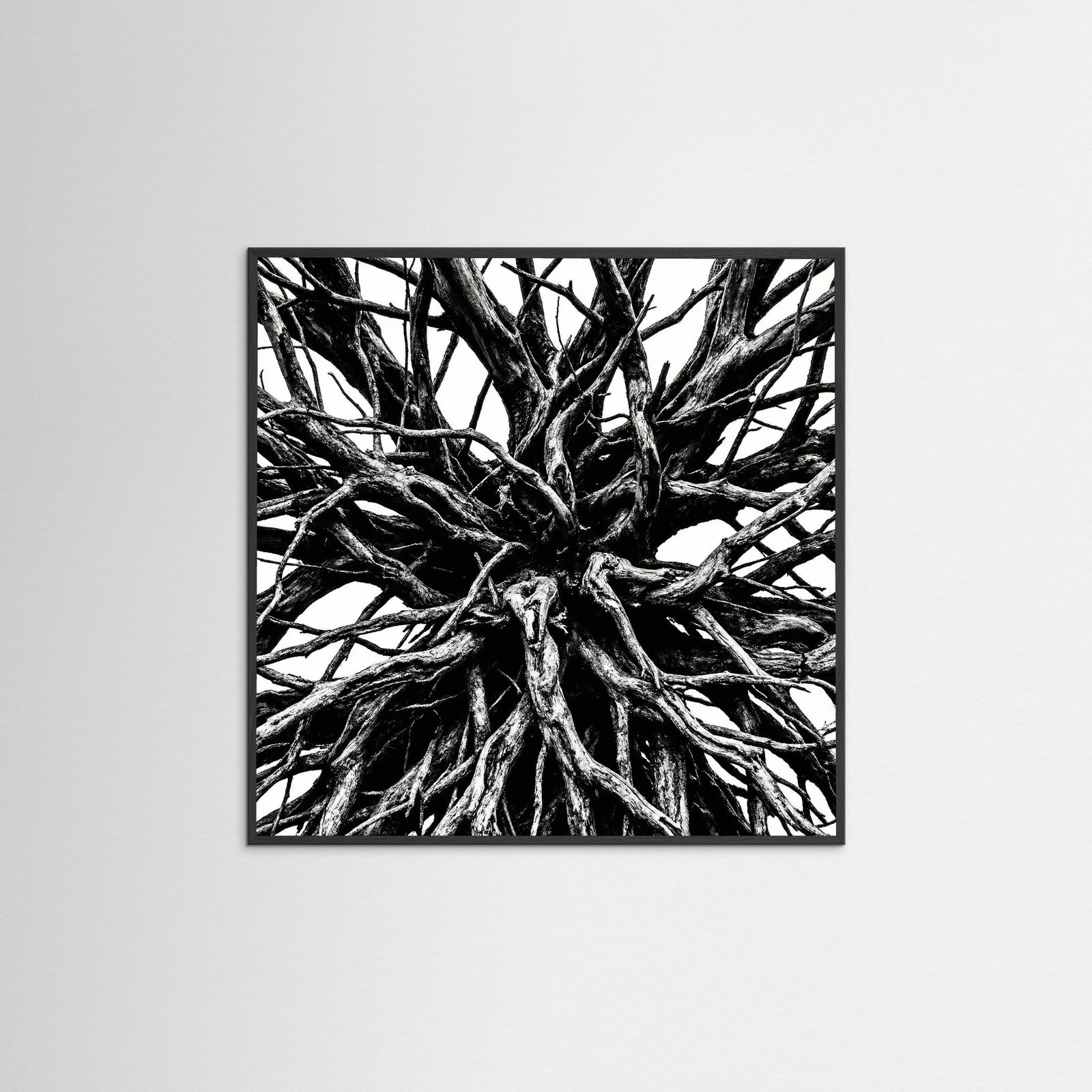 Black Wood Square Dense Thicket