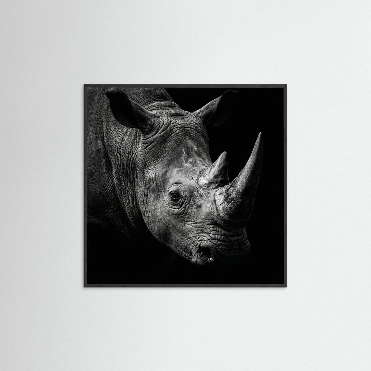 Black Wood Square Gentle Giant