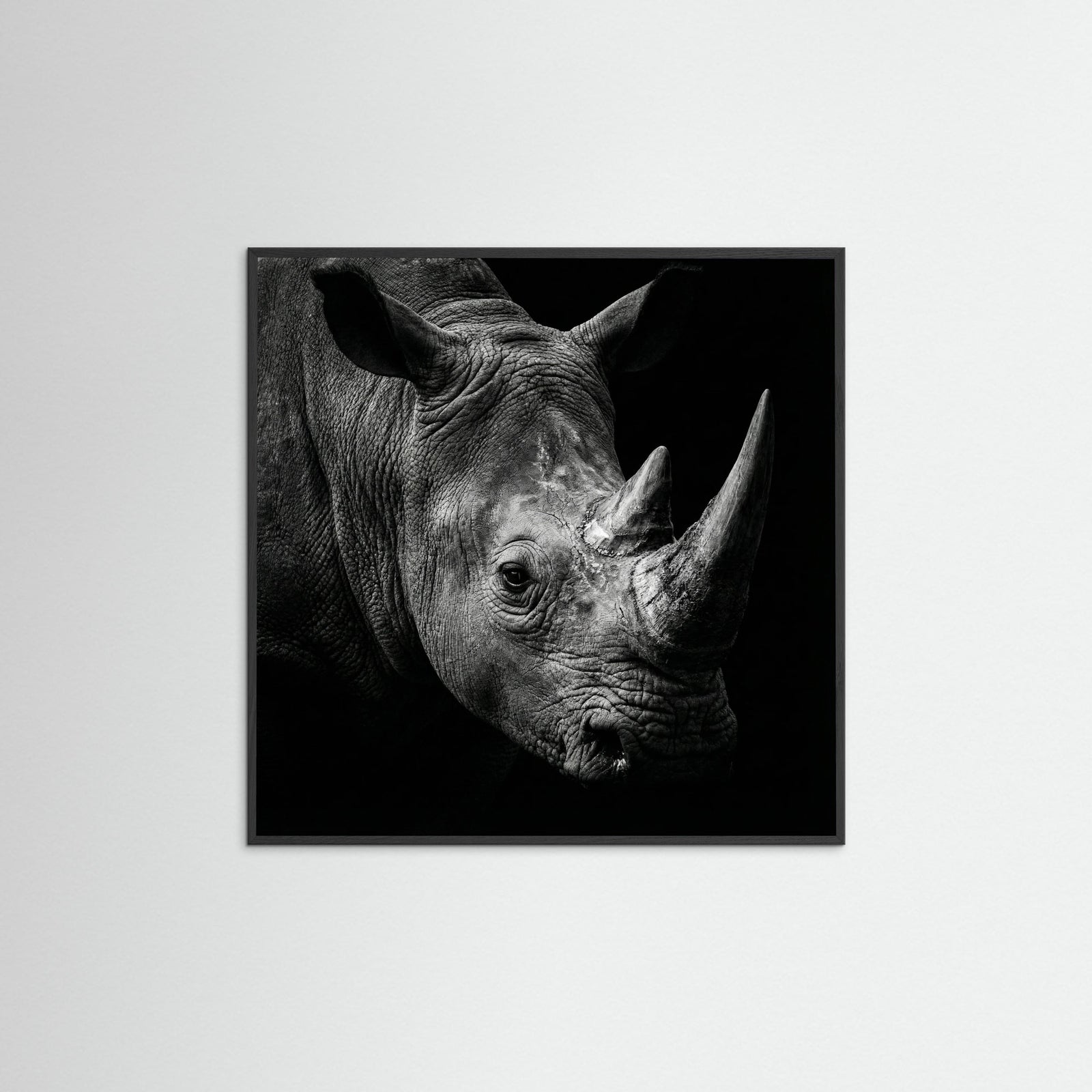 Black Wood Square Gentle Giant