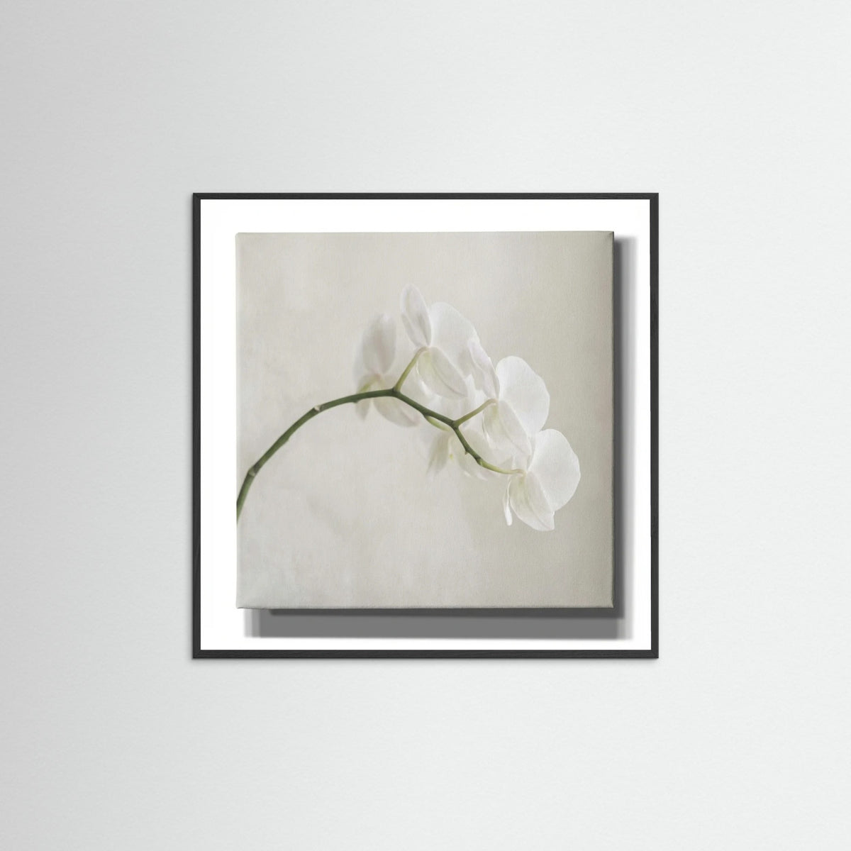 Black Wood Square Quiet Bloom