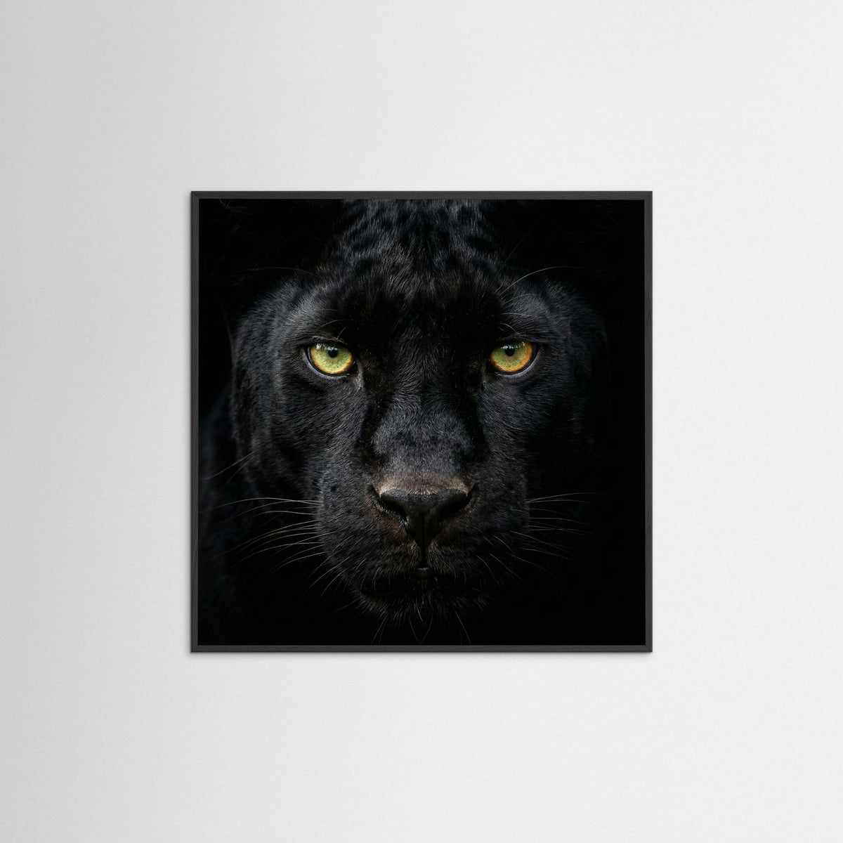 Black Wood Square The Ponderer
