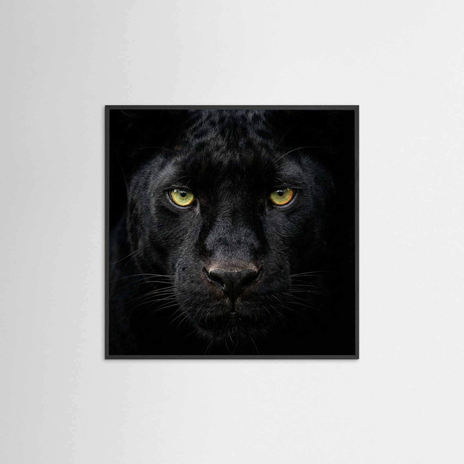 Black Wood Square The Ponderer