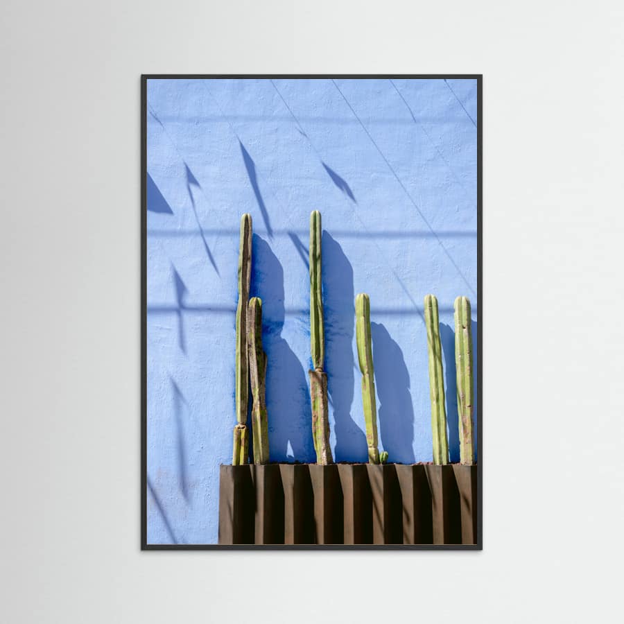 Black Wood Tall Cacti | Oaxaca Mexico travel photography Poster