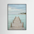 Black Wood Tropical Pathway