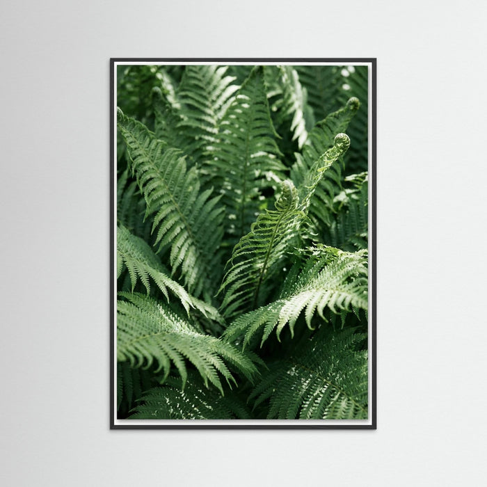 Black Wood Tropical Serenity