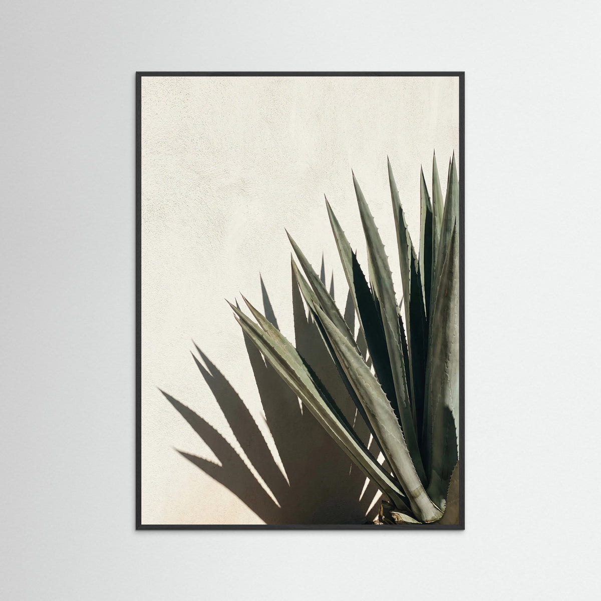 Black Wood Tropical Shadows