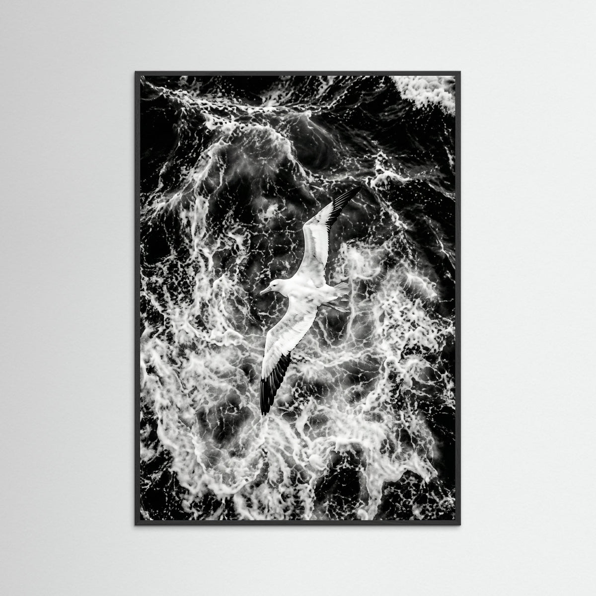 Black Wood Turbulent Flight