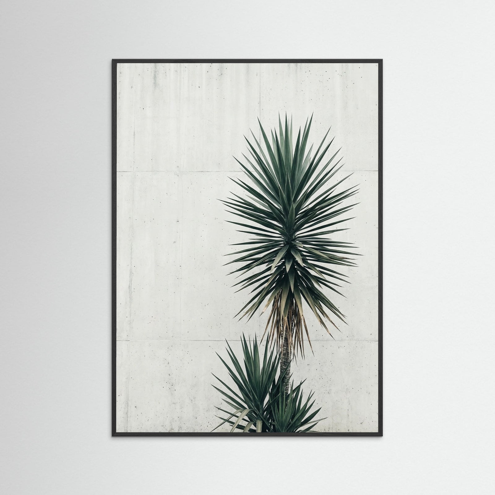 Black Wood Urban Palms Vista