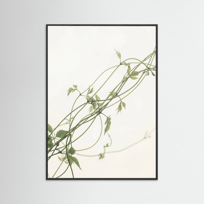 Black Wood Verdant Calm