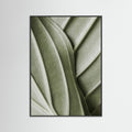 Black Wood Verdant Folds