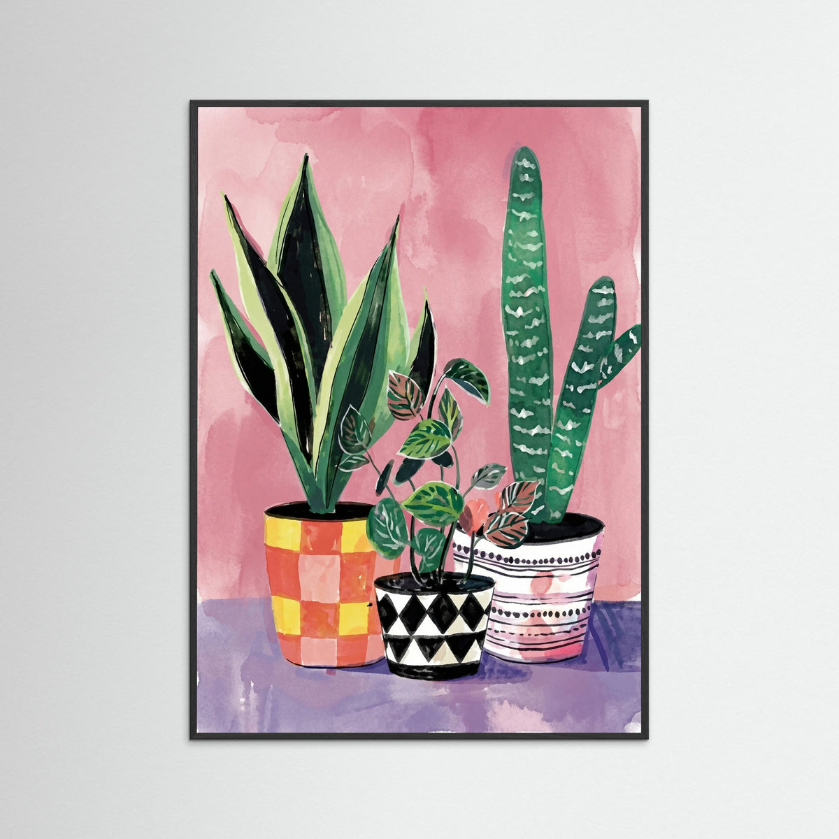 Black Wood Vibrant Houseplant Trio