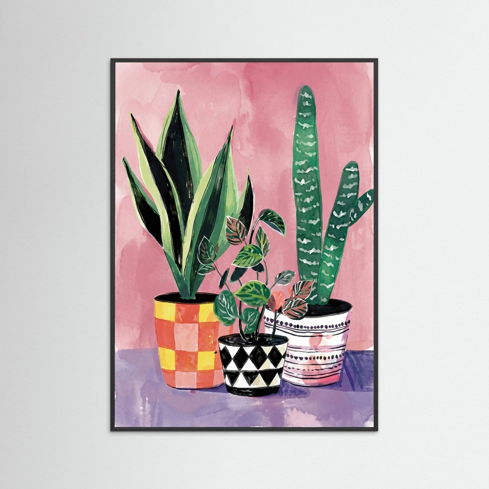 Black Wood Vibrant Houseplant Trio